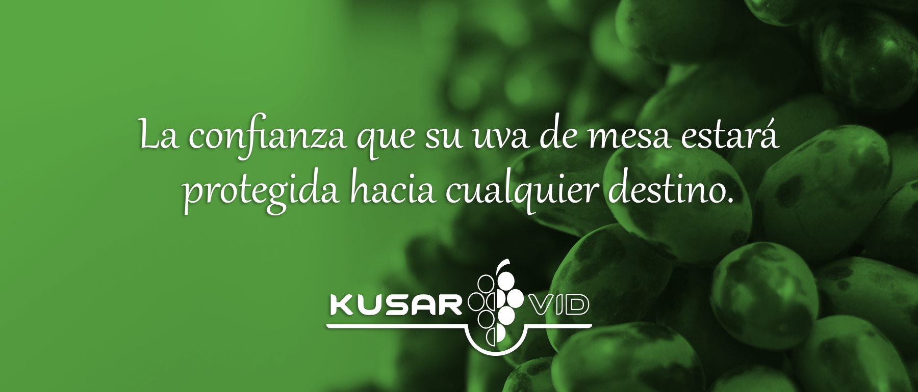 Kusarvid