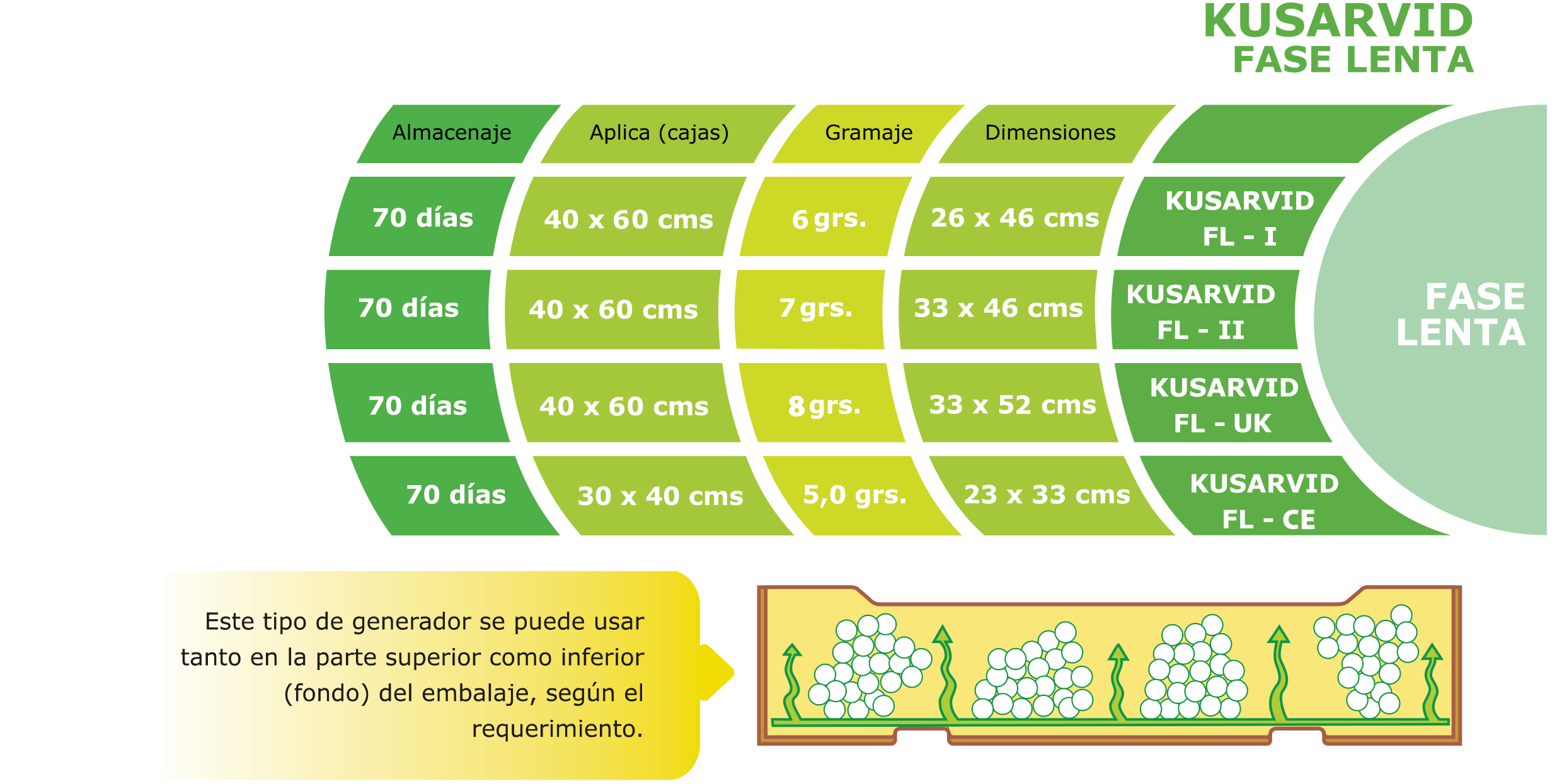 FaseLenta