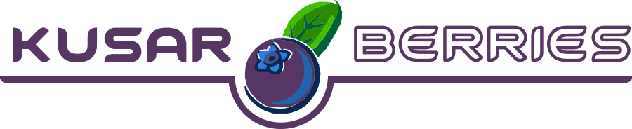 berries-logo berries-logo