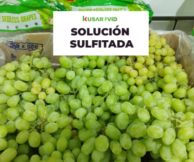 KUSAR VID